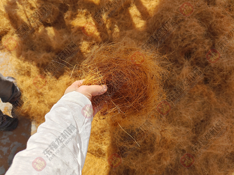 东福龙1.jpg 东福龙1.jpg